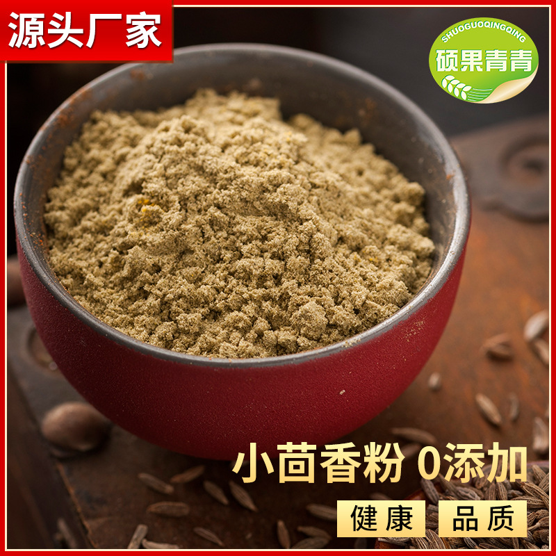 小茴香粉食品级茴香粉调味香料 火锅烧烤腌料调味粉 批发小茴香粉