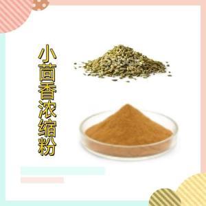 小茴香提取物10:1 六盘韵生物 浸膏粉 比例提取物